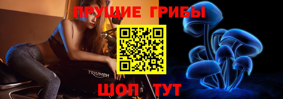 Псилоцибиновые грибы GOLDEN TEACHER Белгород